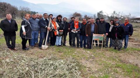 301 Madenci için 301 Zeytin Fidanı