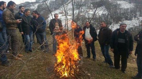 Mermer Ocağı için Ağaç Kesimi