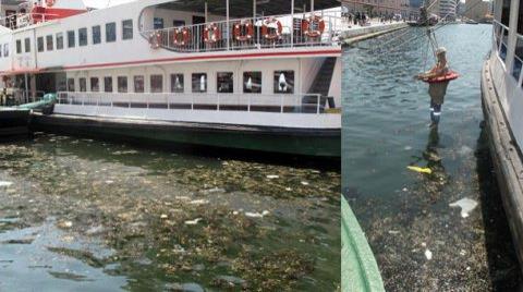 İzmir'de Çöpler Kıyıya Vurdu