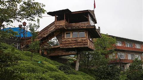 Kuzenine İnat Ceviz Ağacına Ev Yaptı