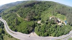İşte Beykoz'da İmara Açılacak Orman Arazisi