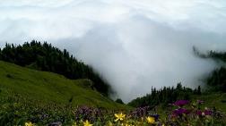 Artvin’in Üstü Altından Daha Değerlidir