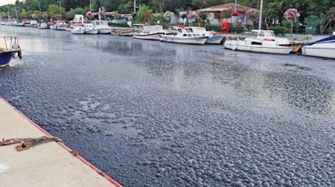 Kurbağalıdere'deki Kabarcıkların Sebebi Atık Yükü