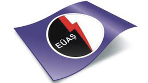 EÜAŞ Yurtdışında Şirket Kuracak
