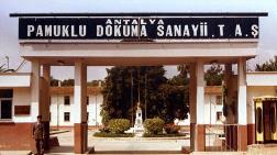 Dev Fabrika Park Oldu
