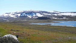 Norveç'ten Finlandiya'ya 100. Yıl Hediyesi: Halti Dağı