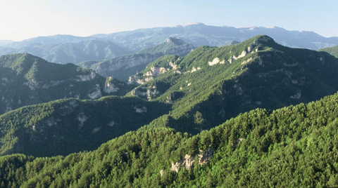Ormanların Rehabilitasyonuna Avrupa Yatırım Bankası'ndan Kredi 