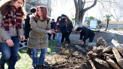 İTÜ Maçka Kampüsü'ndeki Kafeterya Yapımı Durduruldu