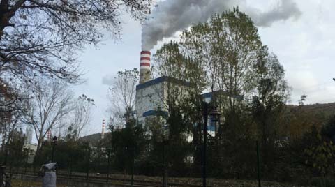 Kömürlü Termik Santraller İnsan Haklarını İhlal Ediyor