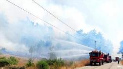 Adrasan'da Acı Bilanço