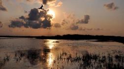 Kızılırmak Deltası UNESCO Listesinde