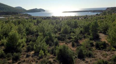 Akkuyu'ya "Türk Ortak" Süreci Yakında Netleşecek