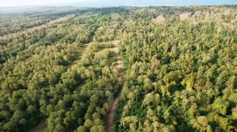 Termik Santral Olacaktı, Tabiat Parkı İlan Edildi