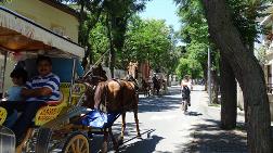 Ulaşım Sorunları İçin Çözüm Ürettiler