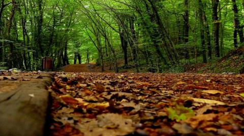"Belgrad Ormanı En Vurucu Darbesini Alıyor"