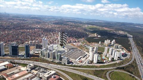 Üç Cami Az Kaldı, Parka Göz Dikti