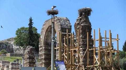 Restorasyon Çalışmalarına 'Leylek' Molası