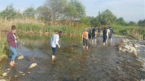 İznik Gölü'nde Kirlilik Alarmı