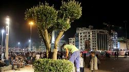Taksim Meydanı'na Ağaç Dikildi