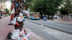 Palmiye Ağaçlarını Çöplüğe Çevirdiler