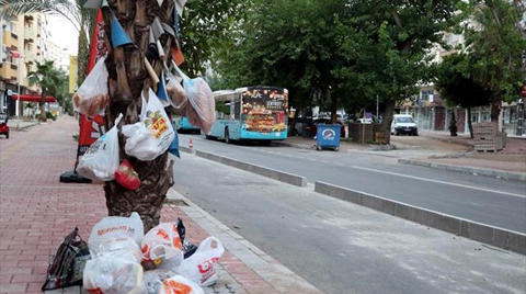 Palmiye Ağaçlarını Çöplüğe Çevirdiler