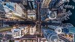 Concrete Jungle, bachirm