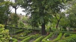 İstanbul Üniversitesi'nin Botanik Bahçesi Diyanet'e Tahsis Edildi