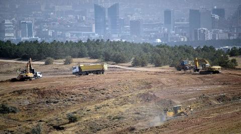 TMMOB'dan ODTÜ'deki Doğa Katliamına Tepki