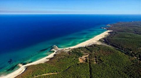 Trakya’nın Karadeniz Kıyısında 58 Bin Ağaç Kesilecek