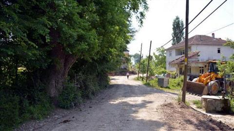 Meşe Ağaçlarını Kesmemek için Yol Projesini Değiştirdiler