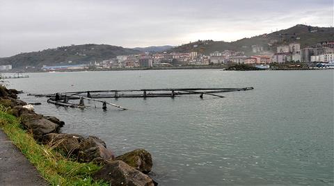 Karadeniz'i Doldurup Üzerine Golf Sahası Yapacaklar