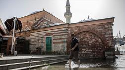 Tarihi Caminin Bahçesini Deniz Anaları Bastı!