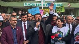 "Şeker Özelleşmesinde Hükümetin Kafası Karışık"