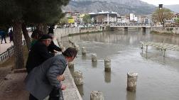 Yeşilırmak'ta Korkutan Görüntü