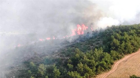 Fethiye'de 20 Hektar Orman Yandı