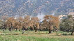 Aydın'daki Jeotermal Tesis İle İlgili Açıklama
