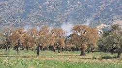 Aydın'daki Jeotermal Tesis İle İlgili Açıklama