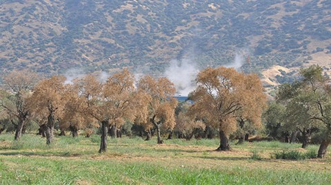 Aydın'daki Jeotermal Tesis İle İlgili Açıklama