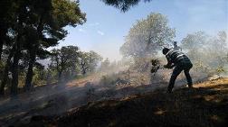 İzmir'de Korkutan Orman Yangını