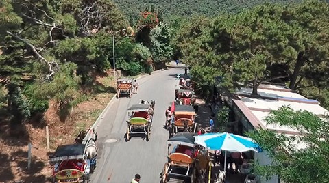 Adalar'da 'Fayton' Tartışması