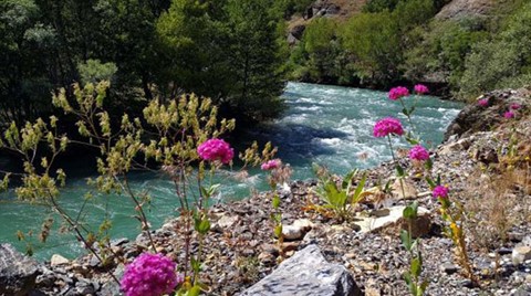 Danıştay'dan Munzur Vadisi Kararı