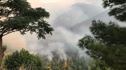 Hatay'daki Yangında 40 Hektar Orman Zarar Gördü