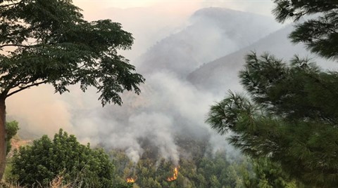 Hatay'daki Yangında 40 Hektar Orman Zarar Gördü