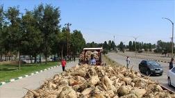 Satılan Şeker Fabrikalarında İşçi Çıkarımları Sürüyor