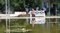 Bolu Nilüfer Sanat Parkı'na Kavuştu 