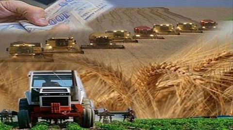 Kırsal Kalkınmaya 110 Milyon Liralık Hibe