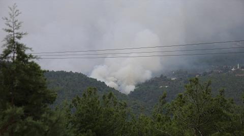 Hatay'da Orman Yangını
