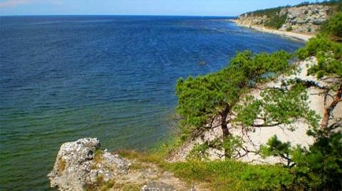 Maden Şirketi Çanakkale’yi Geçti İsveç Ormanlarını Geçemedi