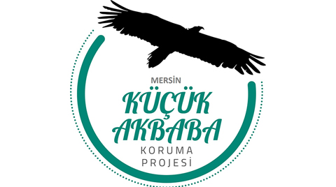 Küçük Akbabaları Koruma Projesi Sayımı Tamamlandı