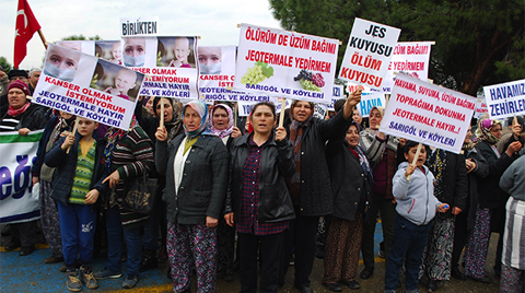 "JES: Üzümü Yakan, İnciri Kurutan O Mu?"